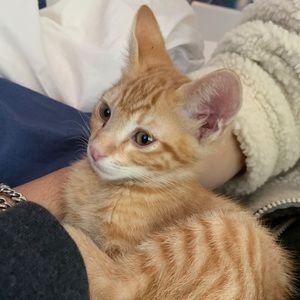 Meet your Posher, Kathy